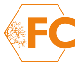 forever creative photography